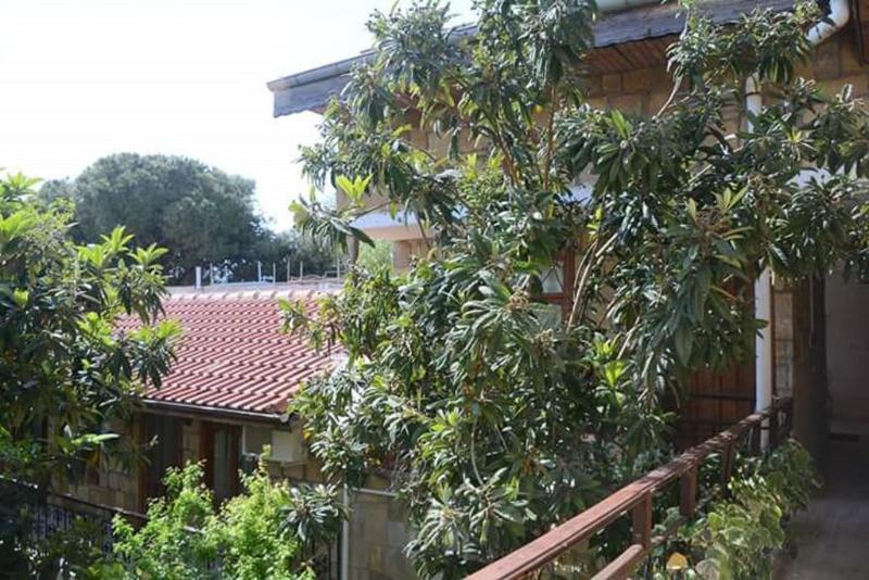 Antonios Motel Σιντέ Εξωτερικό φωτογραφία